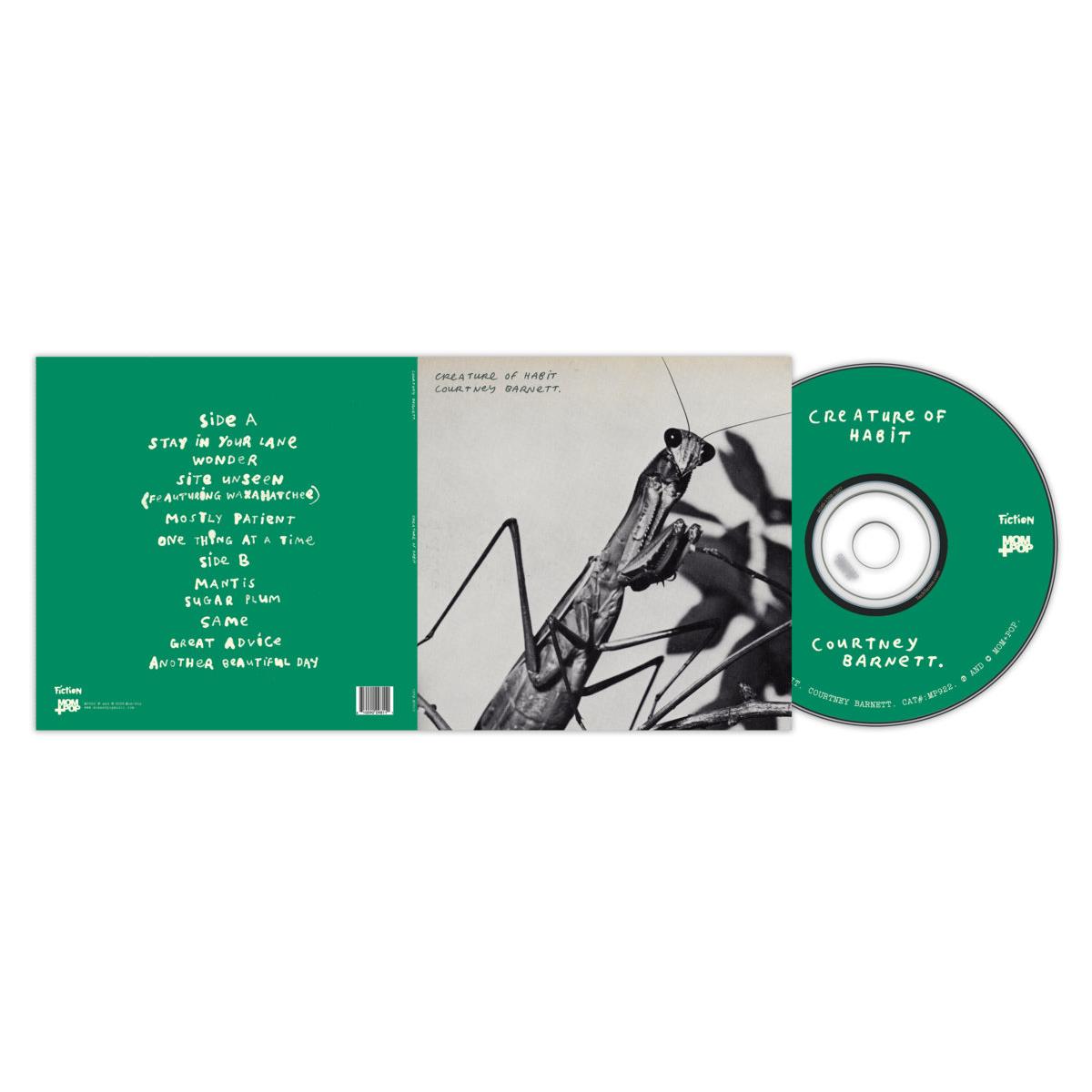 Creature Of Habit, By: Courtney Barnett