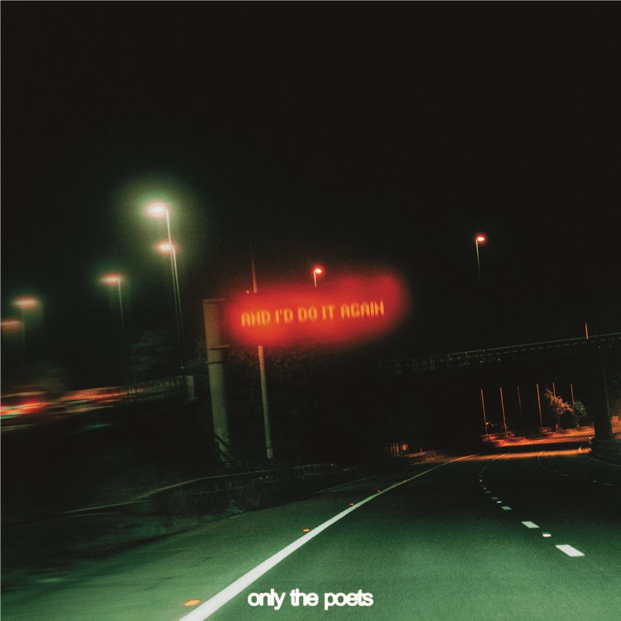 And I’d Do It Again (Vinyl) - By:Only The Poets