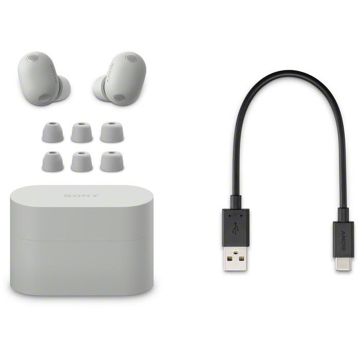 Sony earbuds kit: platinum silver case, multiple eartips, and charging cable