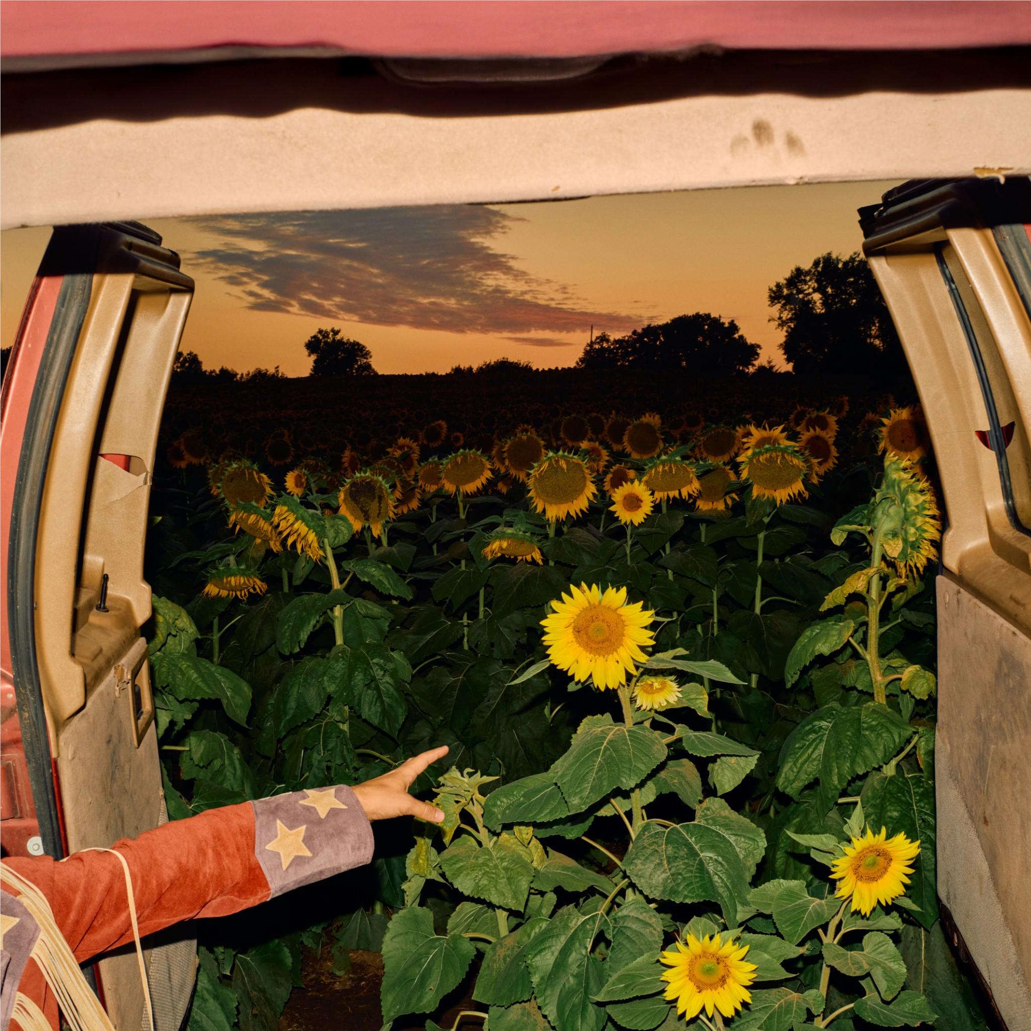 Little Wide Open, By: Kevin Morby