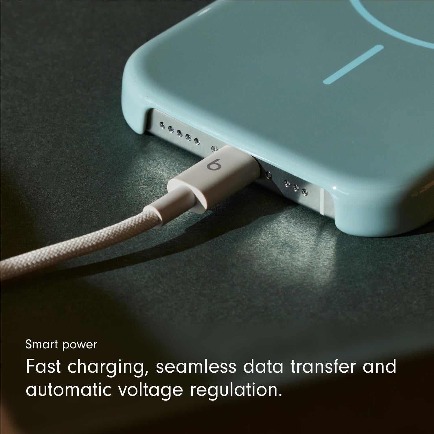 Beats USB-C to USB-C Woven Cable 1.5m (Surge Stone)