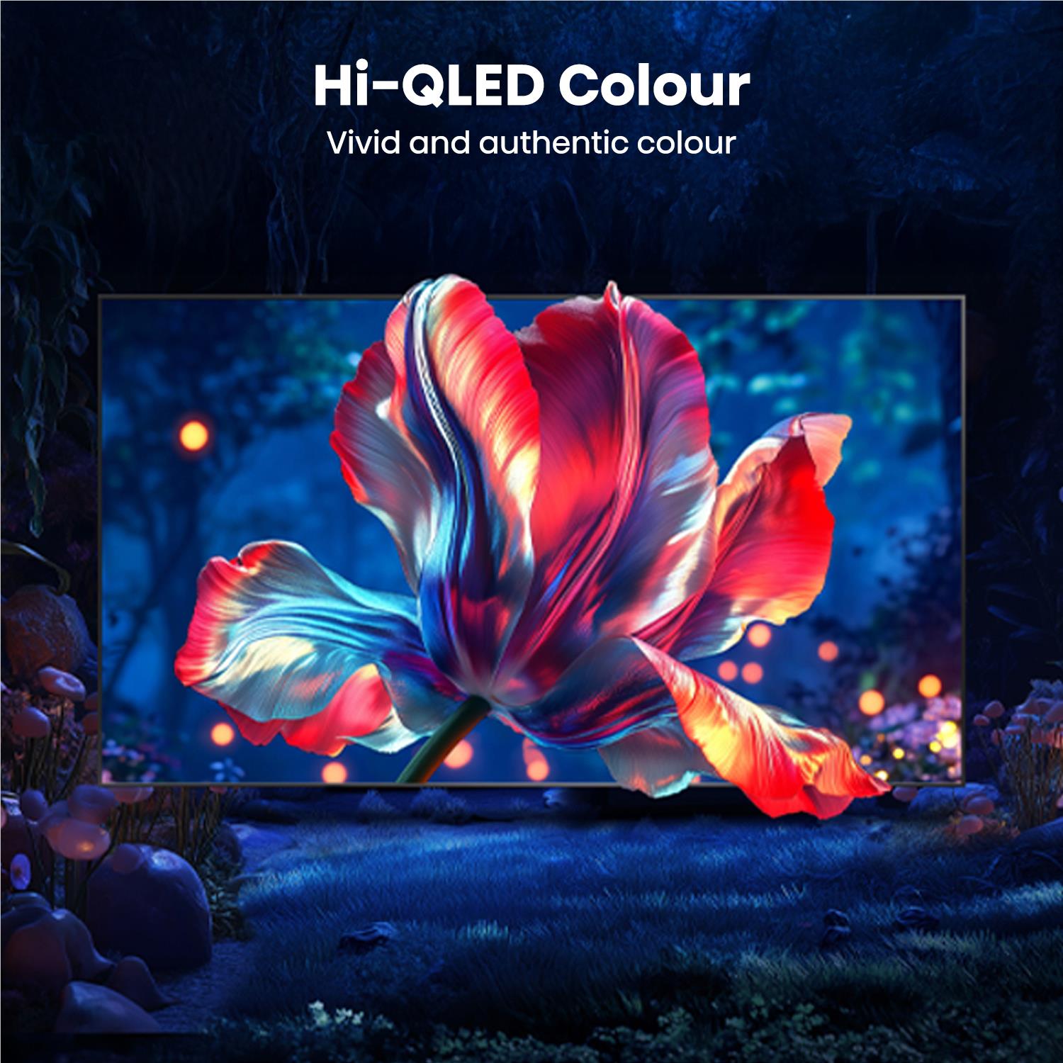 Hisense QLED TV screen showing red and blue flower for Hi-QLED Colour