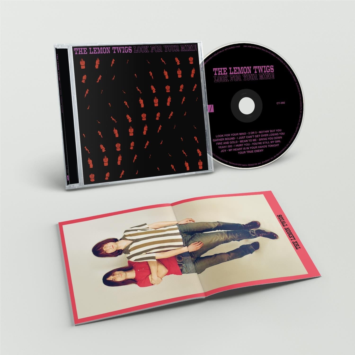 Look For Your Mind!, By: The Lemon Twigs