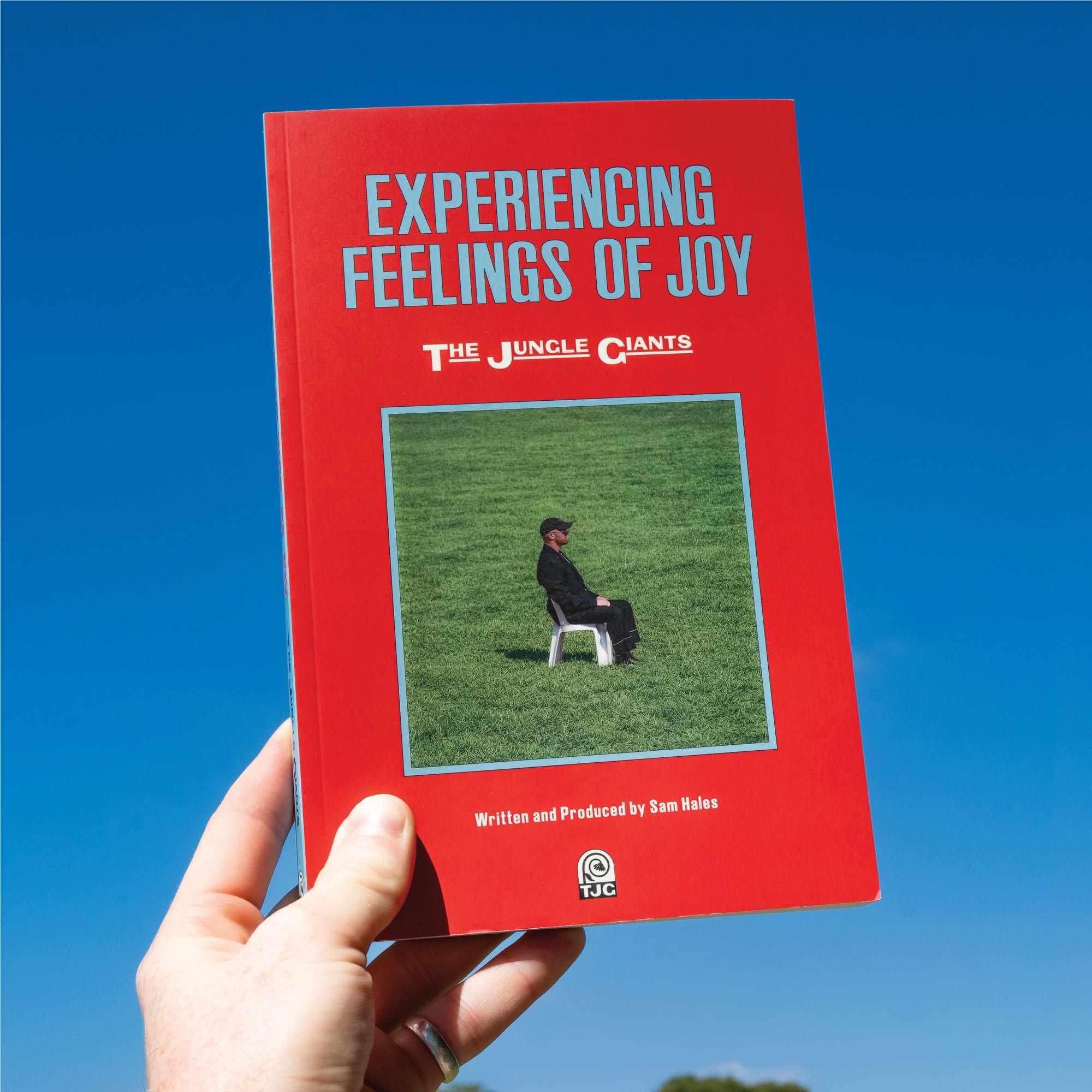 Experiencing The Feelings of Joy, By: The Jungle Giants