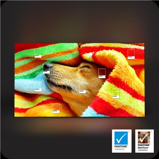 Samsung 100 inch R85H Micro RGB 4K smart AI TV, image 10 - Extra Large TVs - 85" and Above at Tech Supply Shed NZ