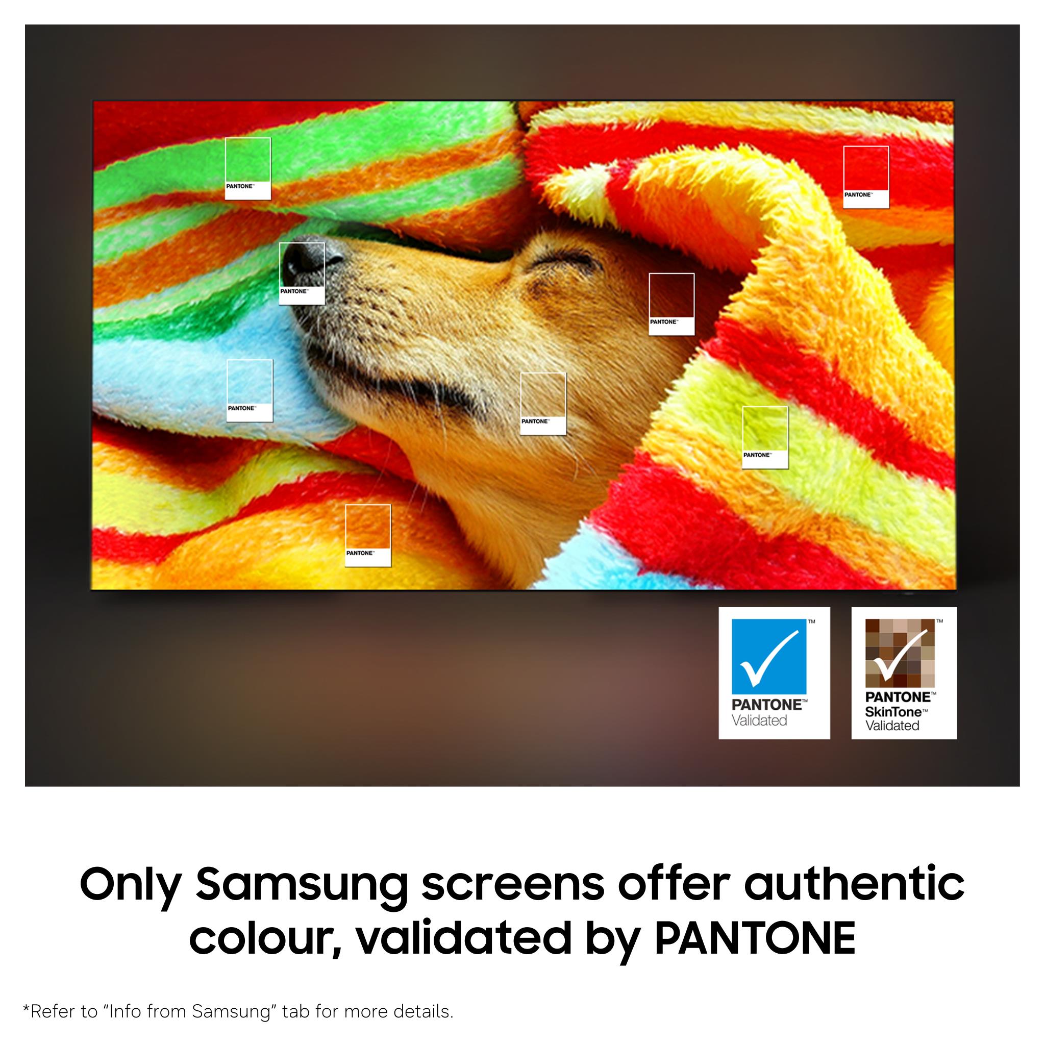 Samsung QLED TV showing a detailed dog image with floating color tags