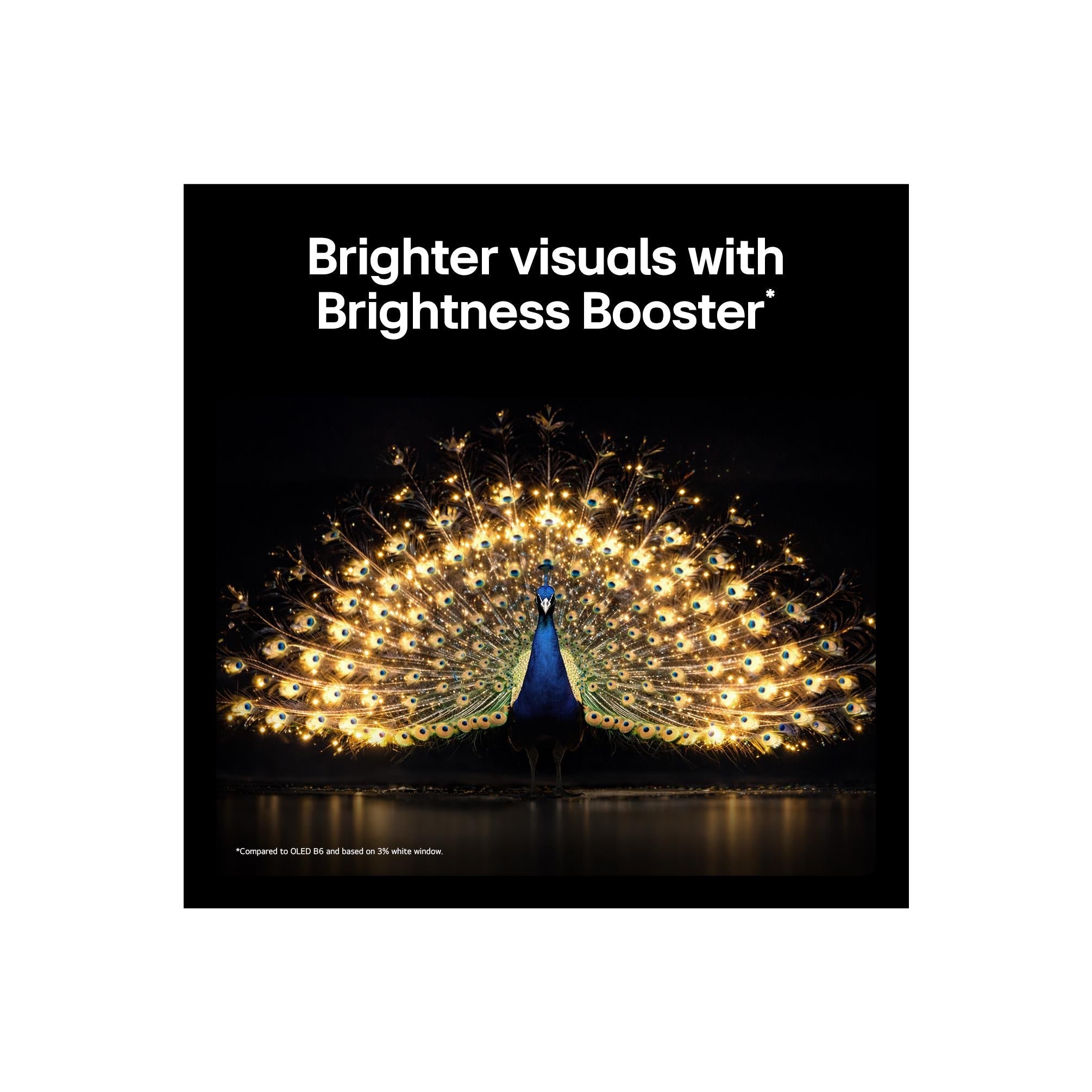LG OLED evo C6 65 inch AI 4K Smart TV, image 5 - Large TVs - 65" to 75" at Tech Supply Shed NZ
