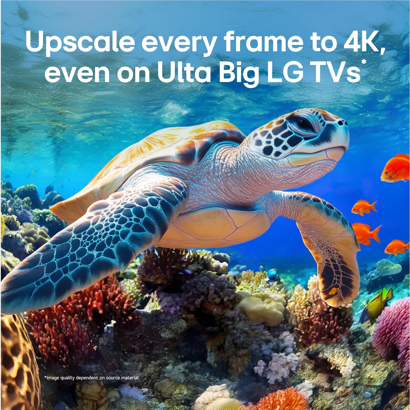 LG MRGB86 75 inch Mini RGB evo 4K Smart TV, image 9 - Large TVs - 65" to 75" at Tech Supply Shed NZ