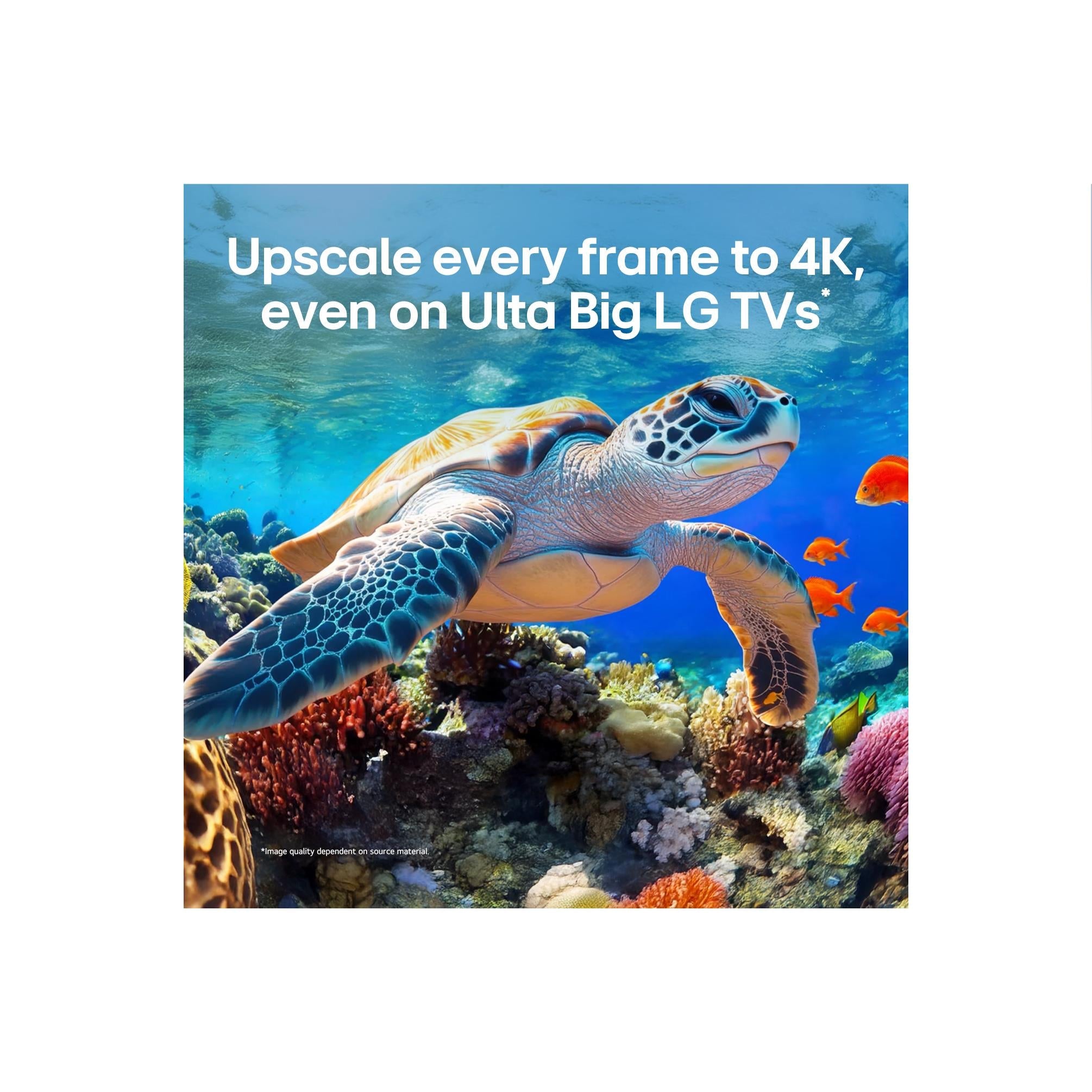 LG QNED80B 75 inch Mini LED 4K Smart TV, image 9 - Large TVs - 65" to 75" at Tech Supply Shed NZ