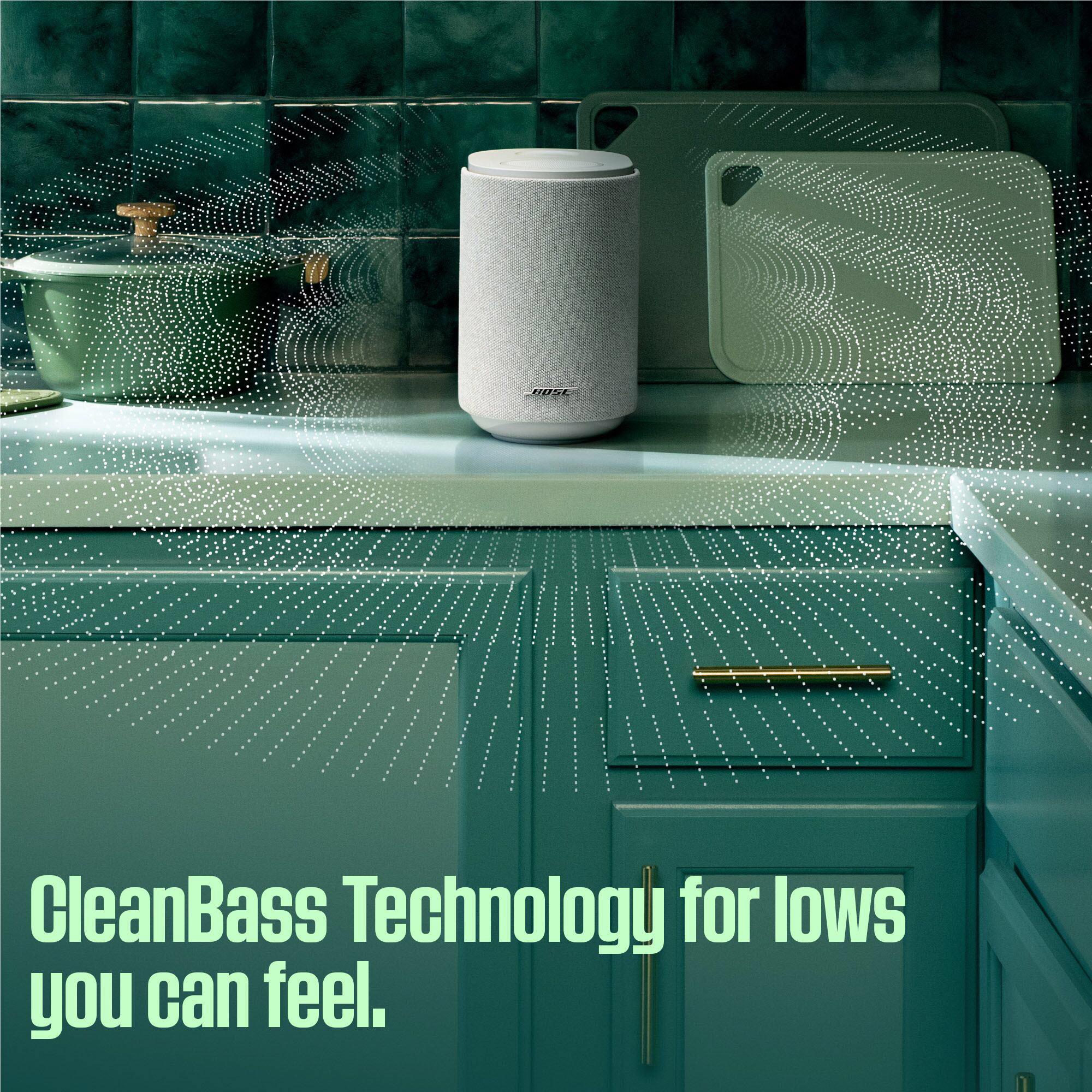Bose Lifestyle Ultra Speaker (White Smoke)