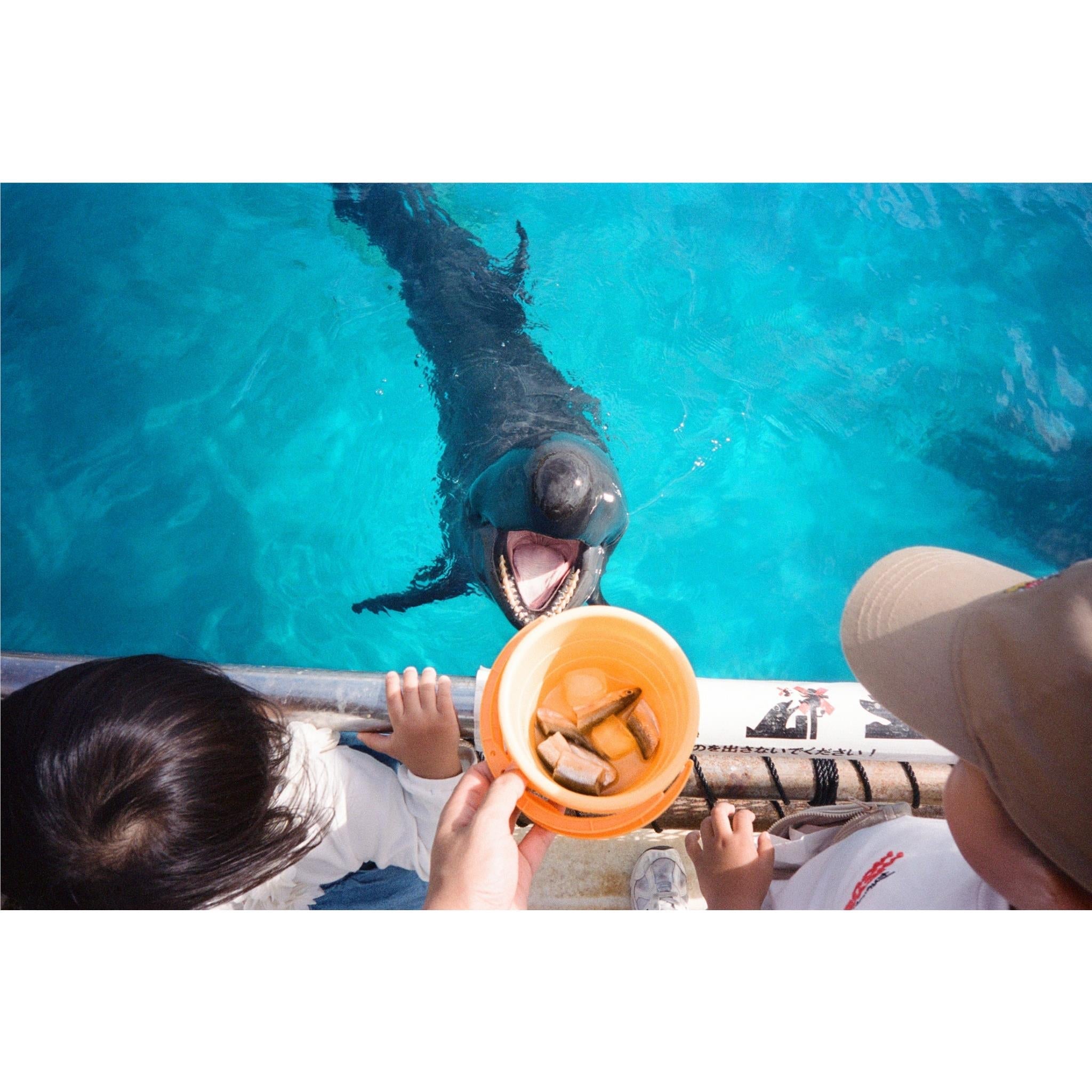 35mm film camera usage scene: snorkelers swimming underwater in blue water