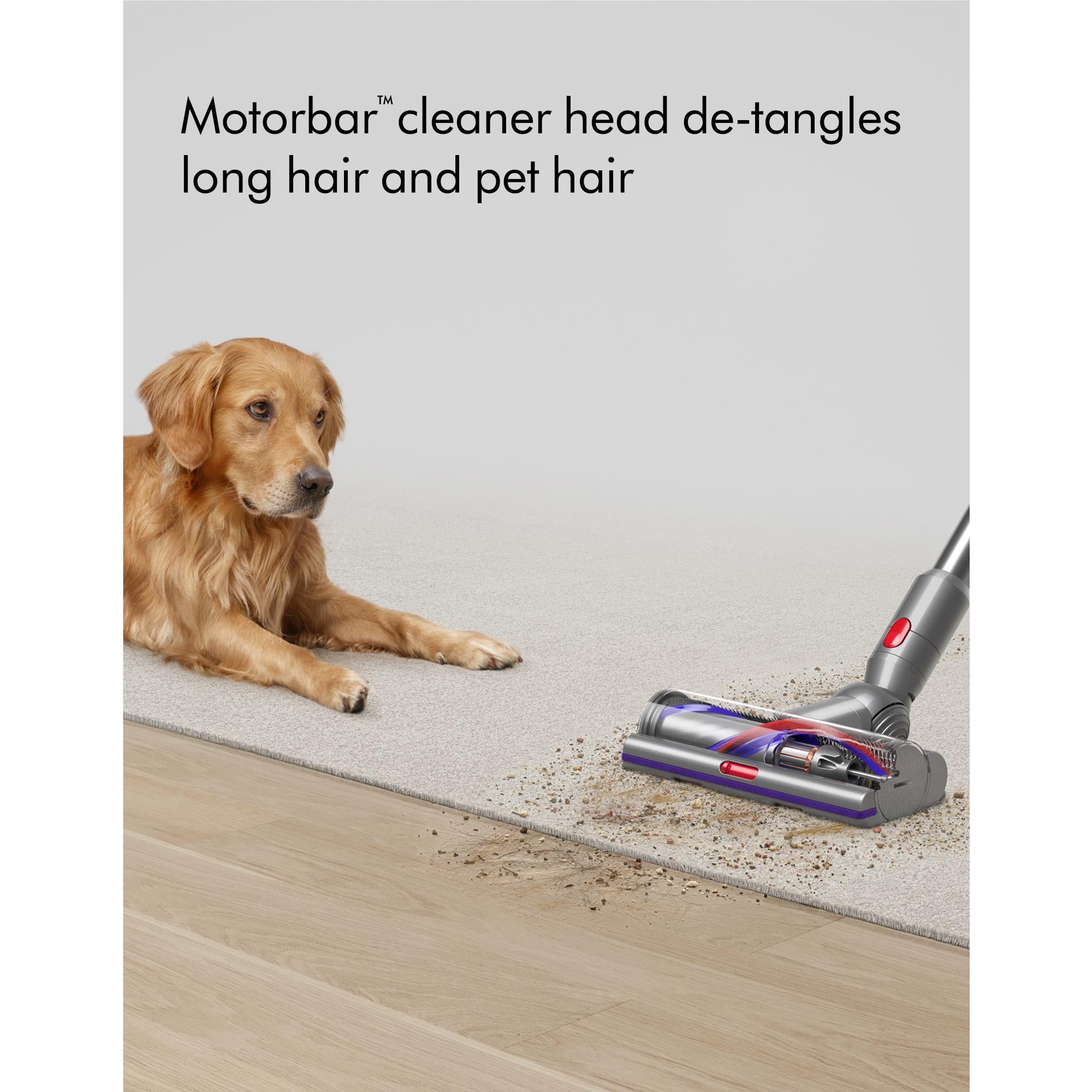 Dyson cordless stick vacuum floor head on carpet, suited for pet hair