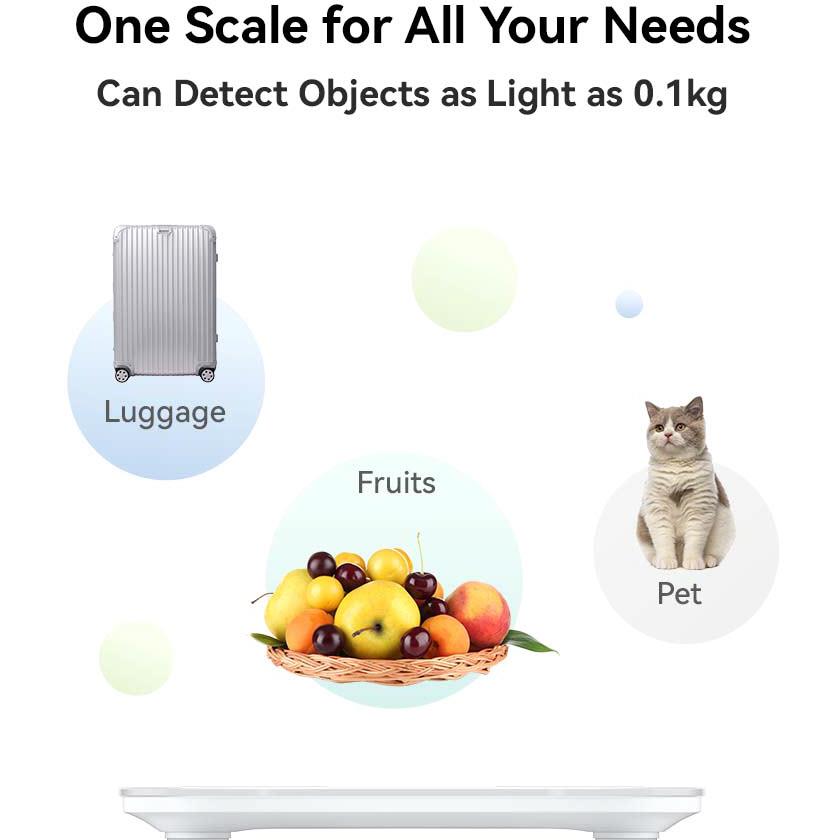 Frosty white smart body fat scale platform with four circular sensors