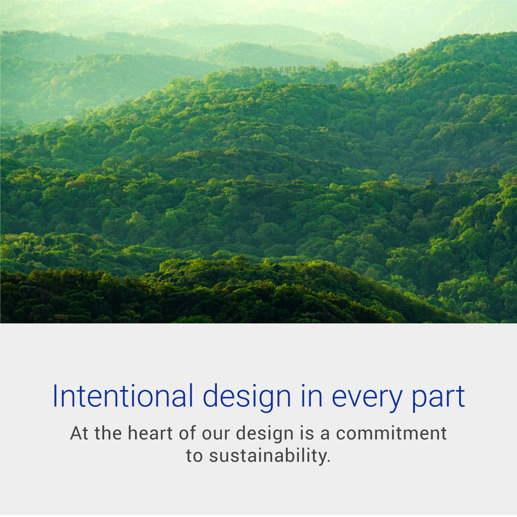Forest landscape used to highlight intentional, sustainability-focused monitor design