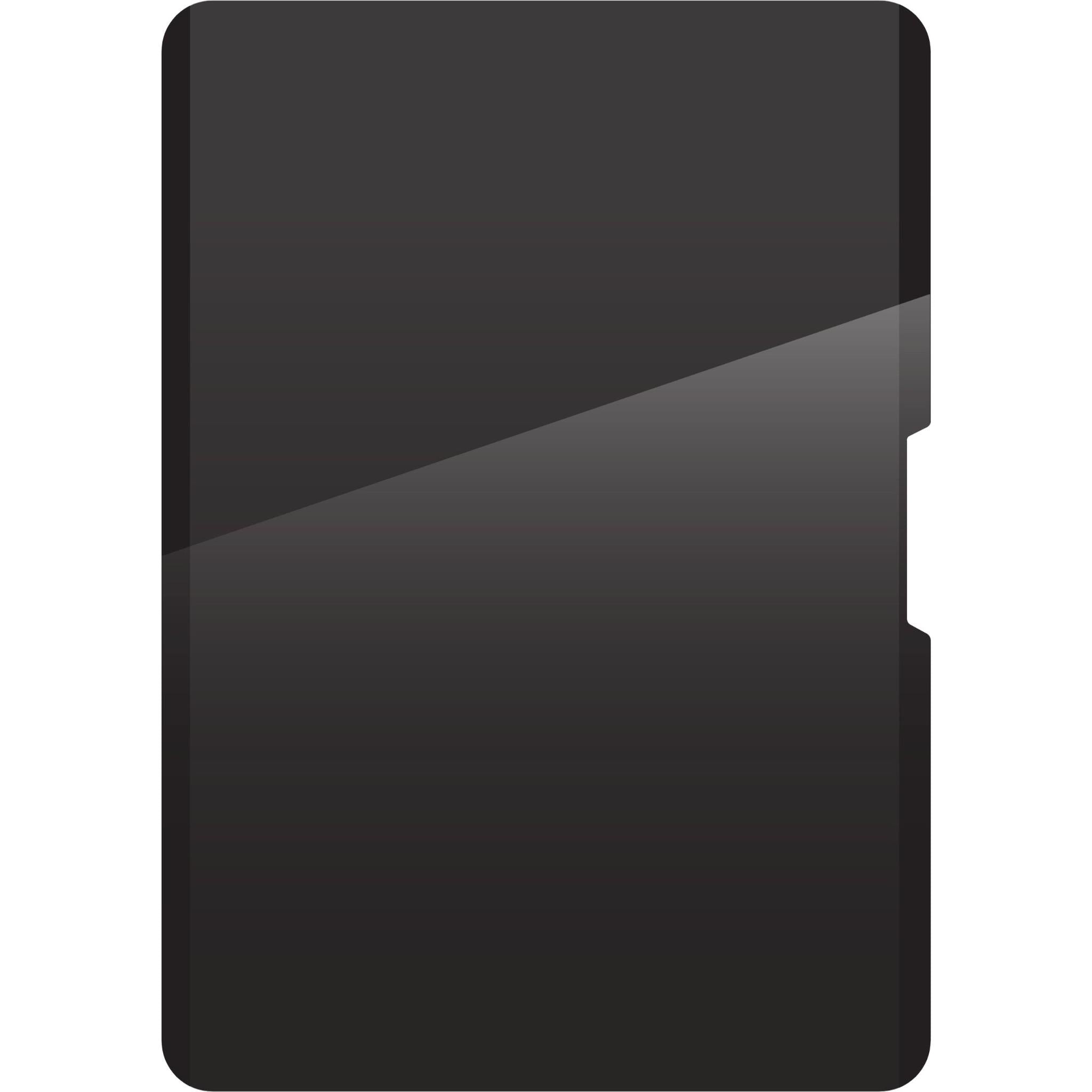 ZAGG removable 4-way privacy filter for iPad Air 11 inch, image 2 - Tablet Accessories at Tech Supply Shed NZ