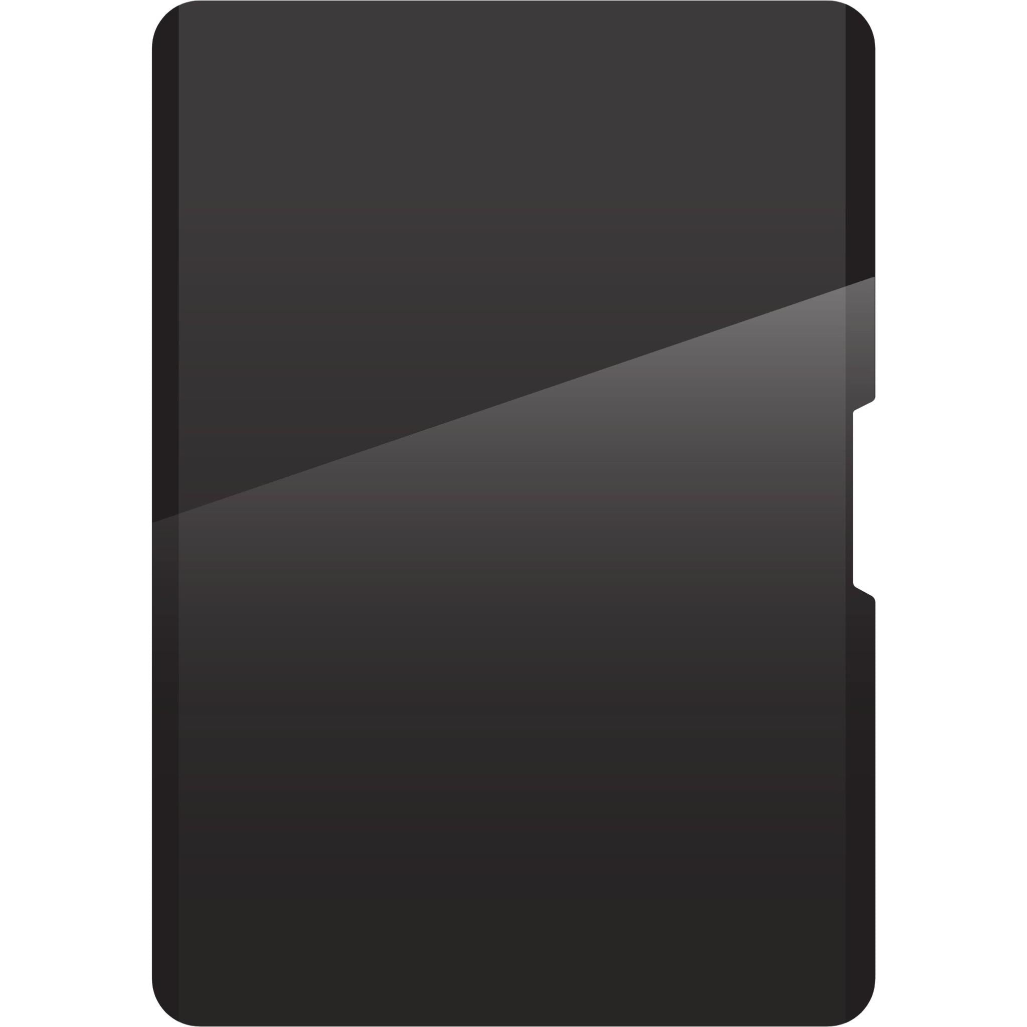 ZAGG privacy filter for iPad, black tinted rectangular screen cover with side cutouts