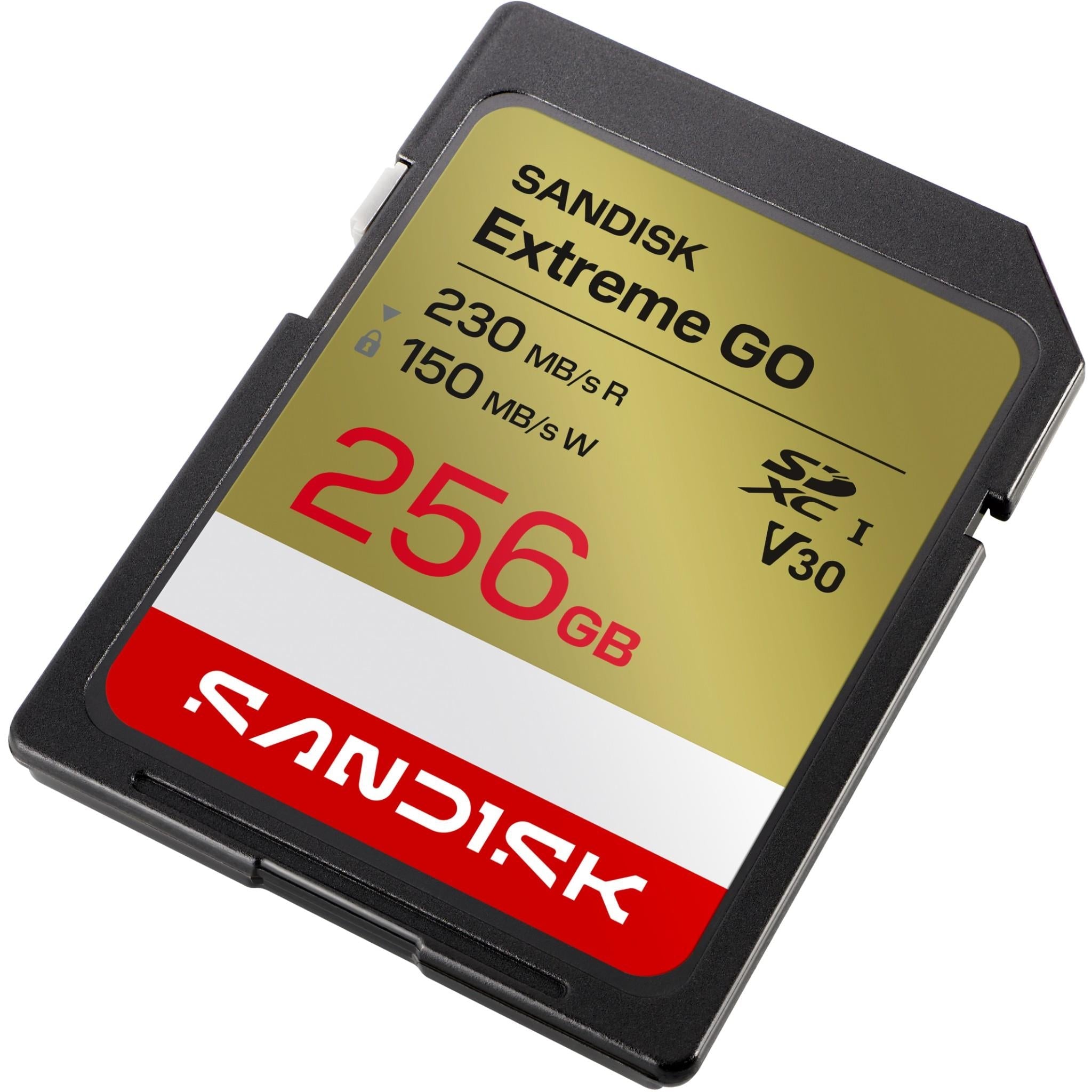 SanDisk Extreme GO SDXC UHS-I memory card, 256GB, V30 rating