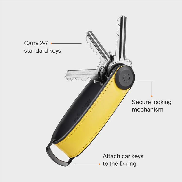Brown and dark key holder with D-ring, attached keys, and locking mechanism.
