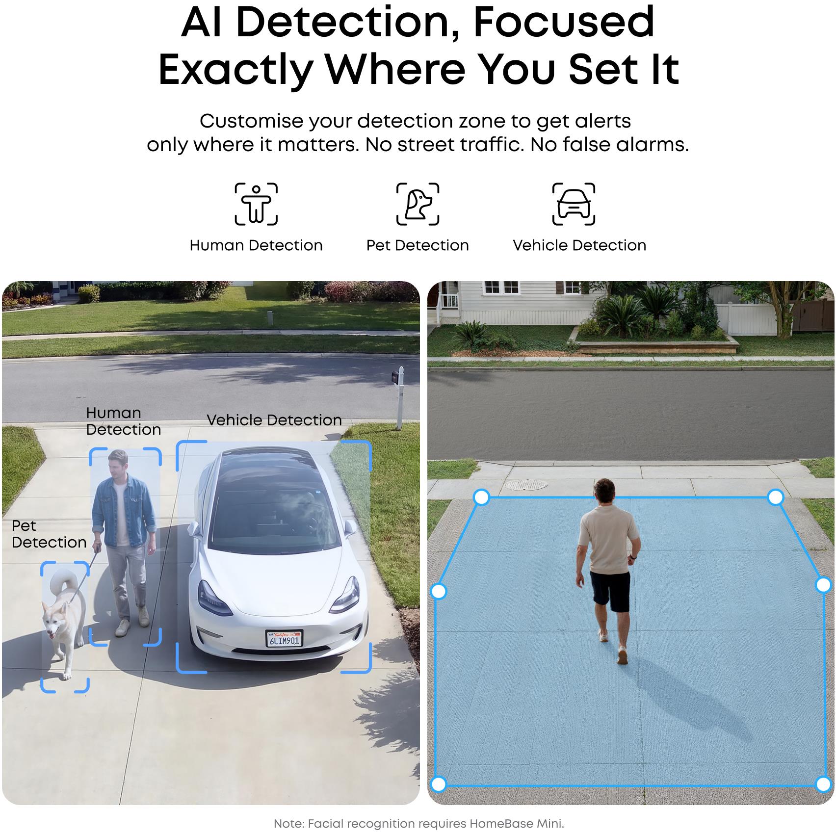 AI detection zone graphic showing human, pet, and vehicle detection icons