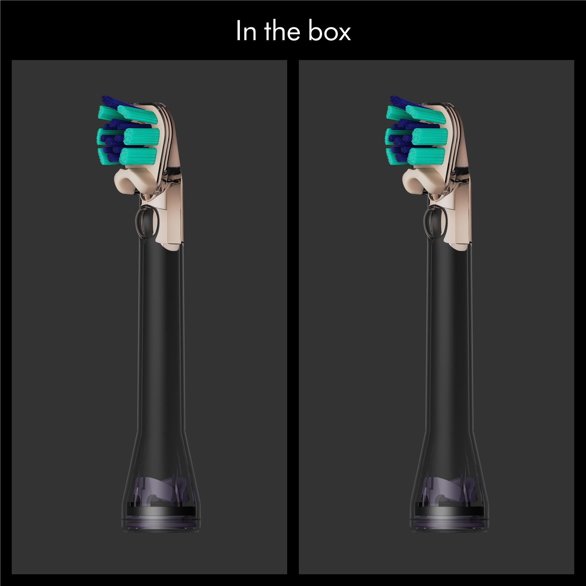 Two Dyson dual-bristle brush heads in box with teal and blue bristles