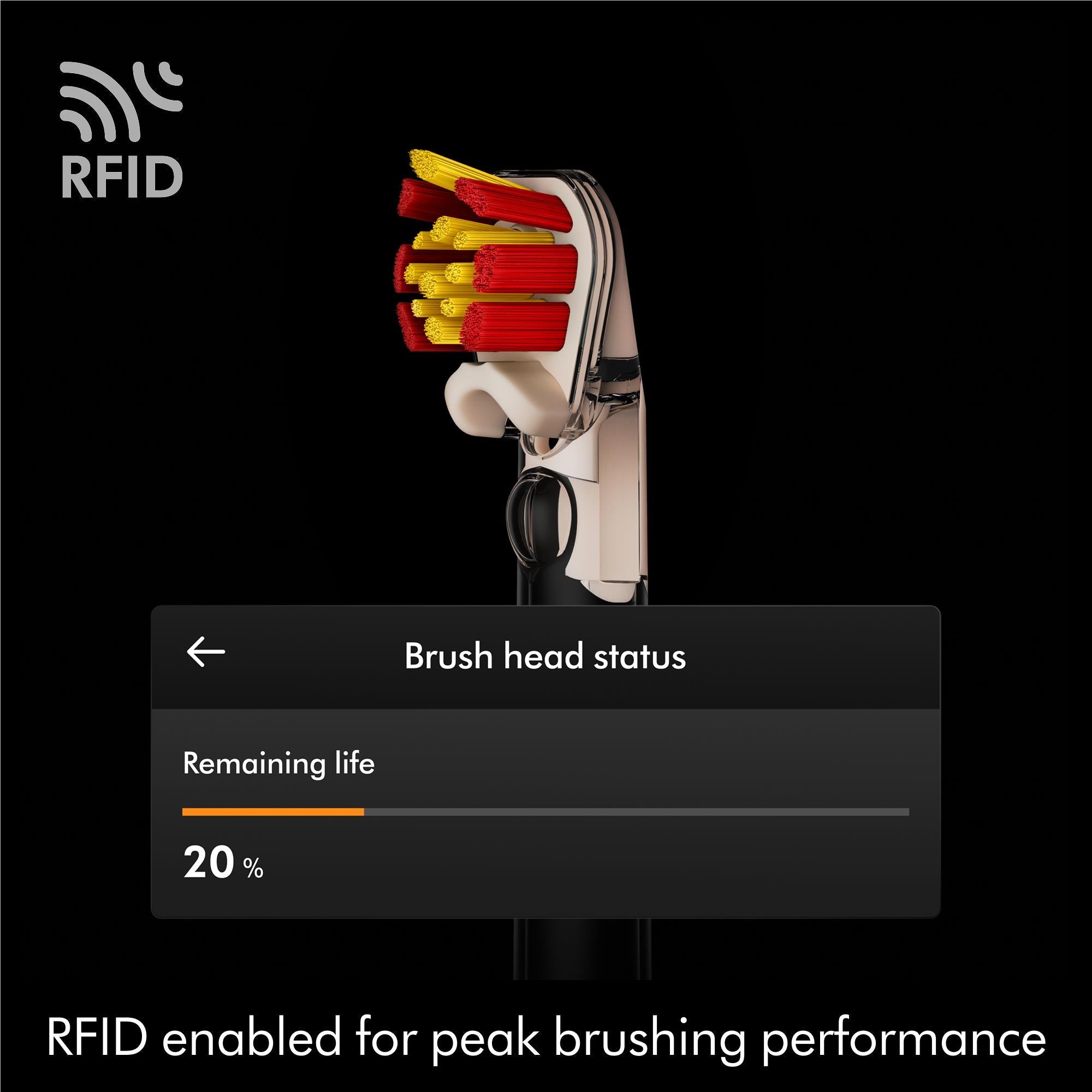 Dyson CameraJet dual-bristle brush heads with red and yellow brush cluster