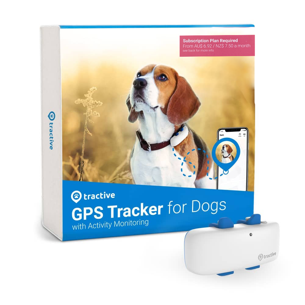 Flipside Tractive GPS Dog 4 – the ultimate GPS tracker for your furry friend.