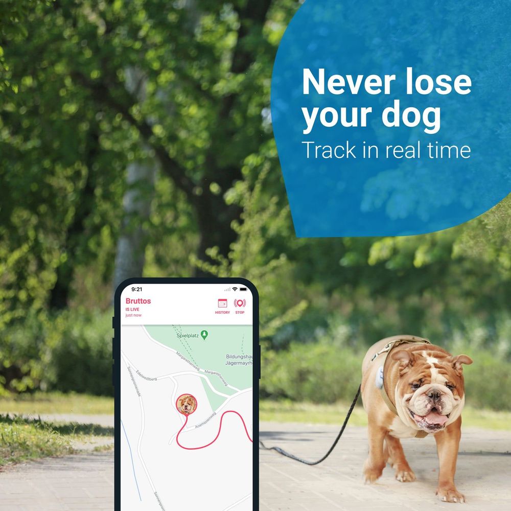 Flipside Tractive GPS Dog 4 – the ultimate GPS tracker for your furry friend.