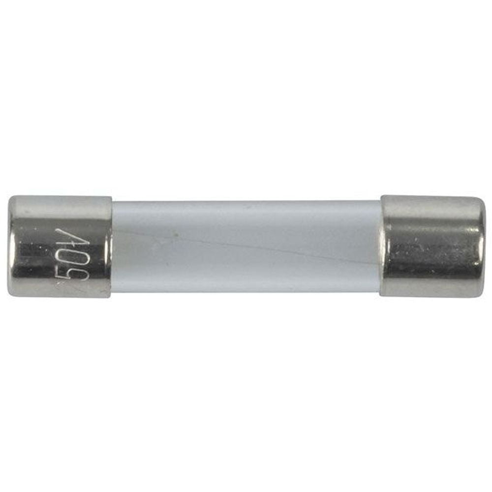 100mA 3AG Quick Blow Fuse