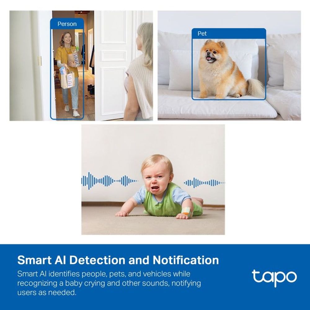 Security camera AI detection notifications for person and pet scenes overlay