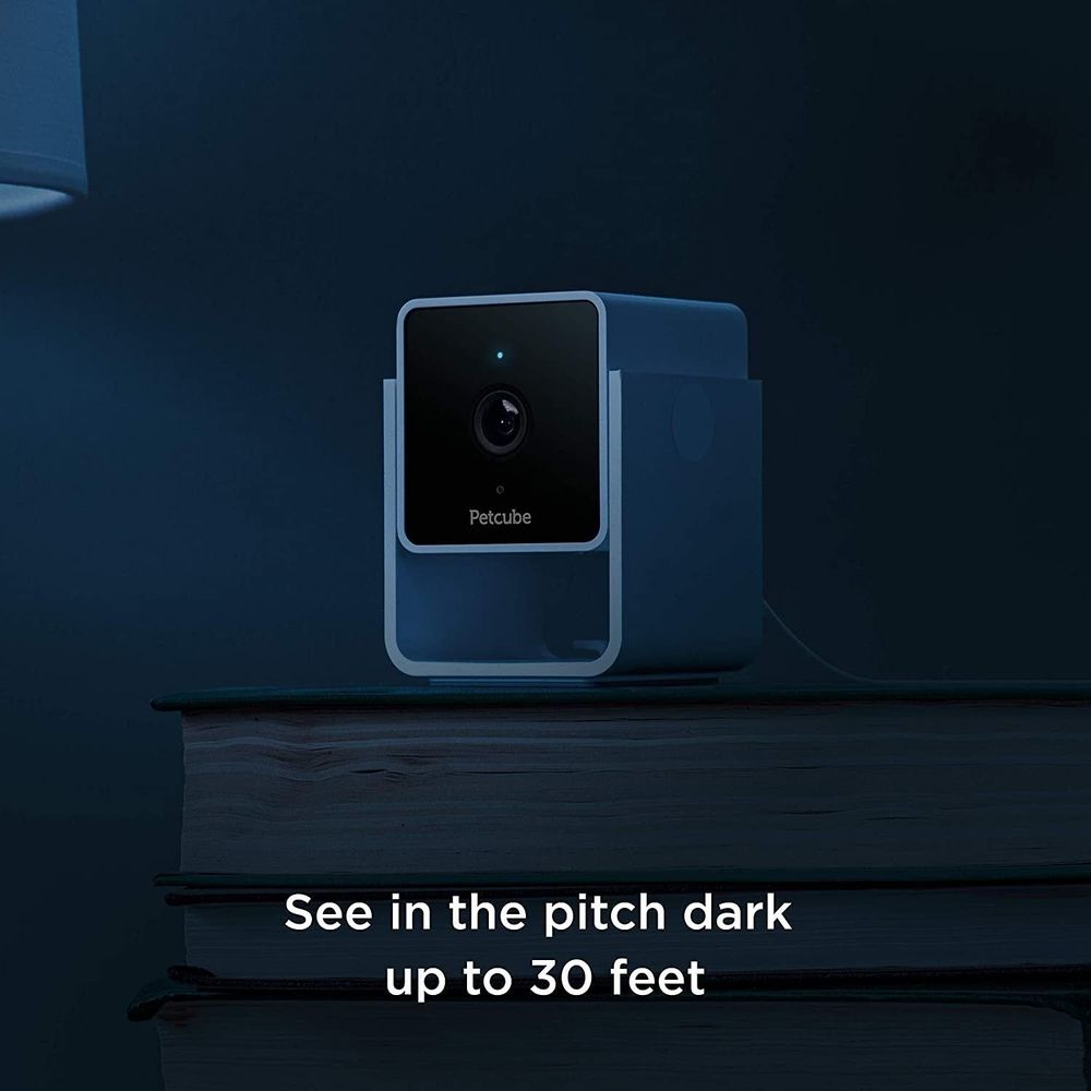 Flipside Petcube Cam - the smartest pet cam on the market, AI technology