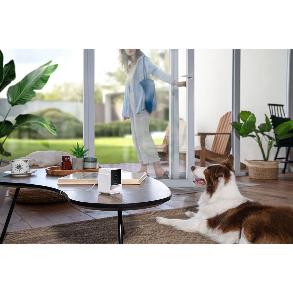 Flipside Petcube Cam - the smartest pet cam on the market, AI technology