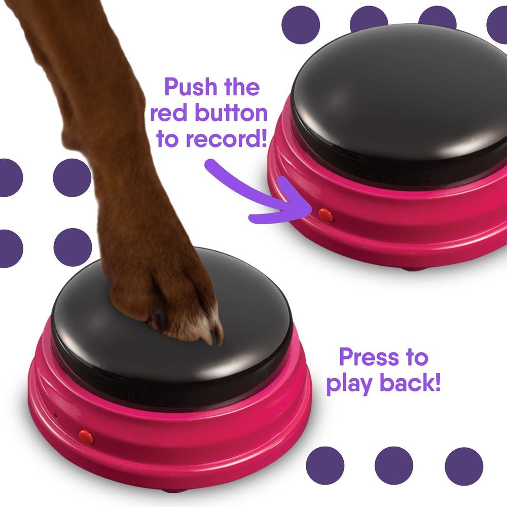 Talking pet buttons with red base and black top; dog paw pressing to record
