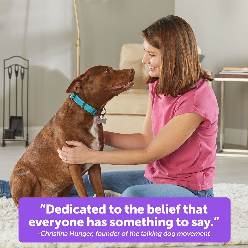Brown dog with blue collar beside smiling woman during talking pet play