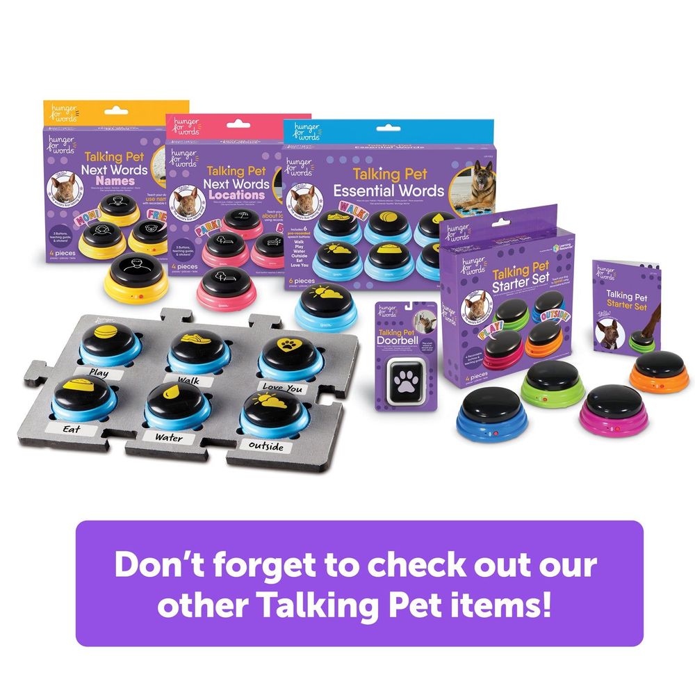 Talking pet starter set with multiple color buttons and starter set boxes