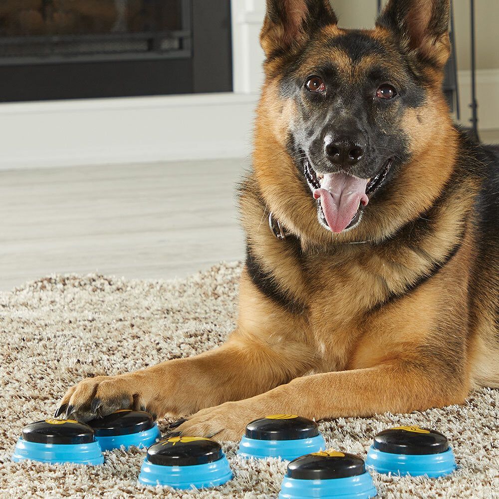 Flipside Talking Pet Essential Words