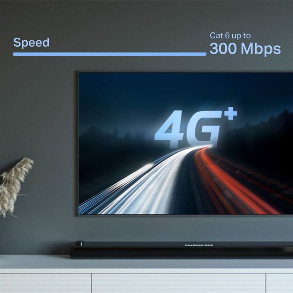 AX3000 WiFi 6 mesh speed graphic showing 4G+ and up to 300 Mbps