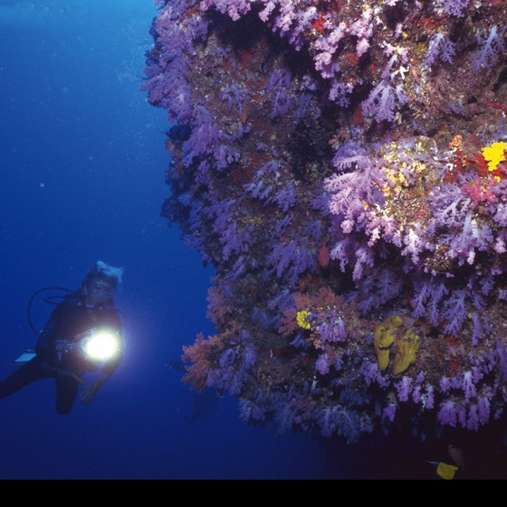 Mega BrightBuddy DeepCore 2500 High-Lumen Dive Torch