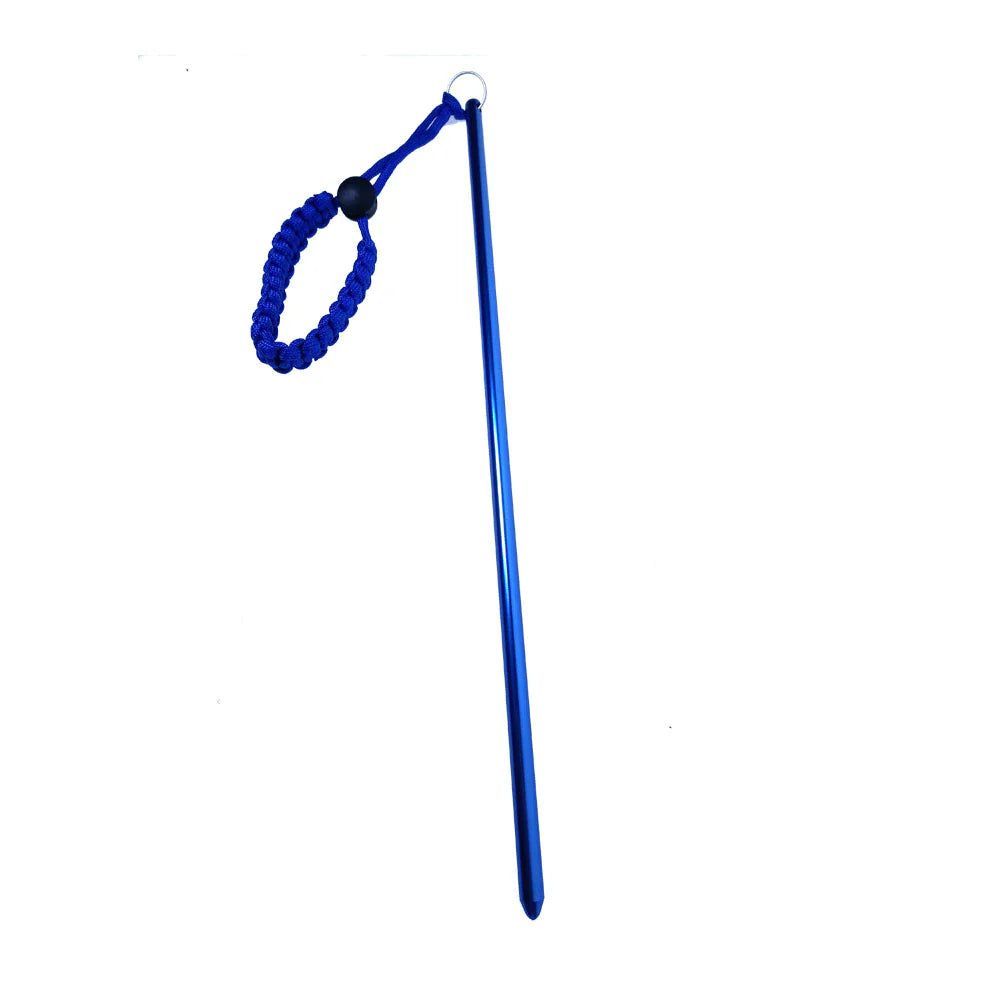 Dive Pointer Blue