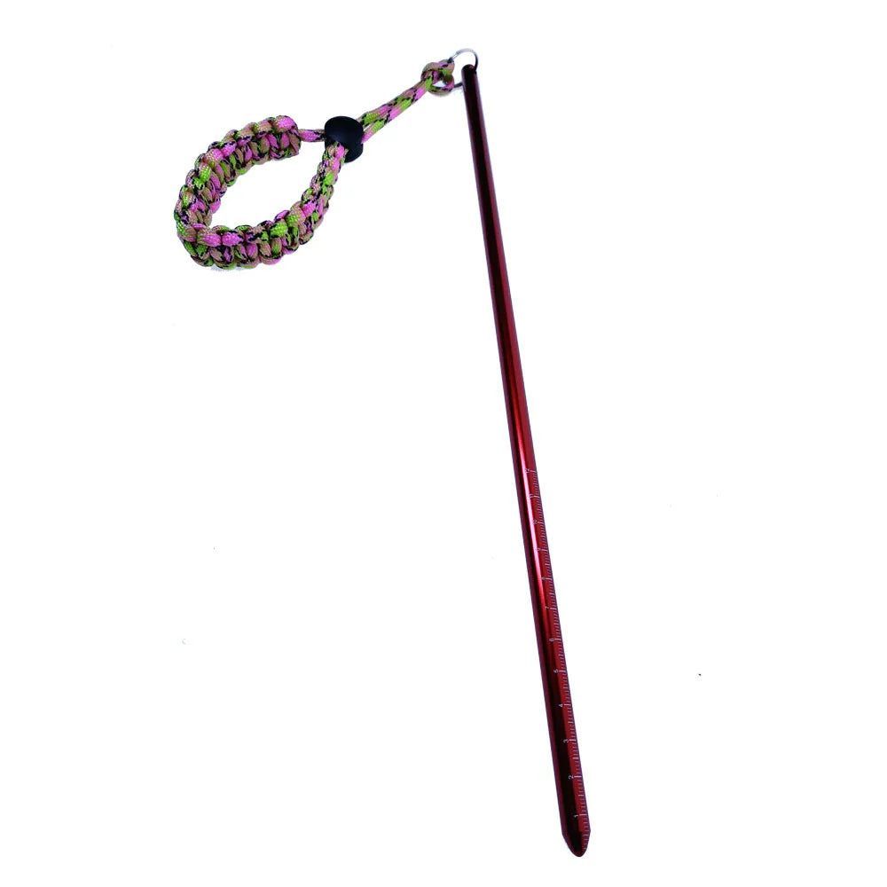 Dive Pointer Red