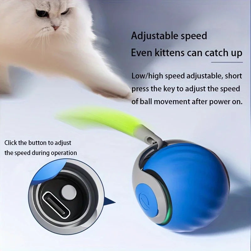 Automatic Interactive Smart Cat Toy - USB Rechargeable Rolling Ball and Mouse Car Teaser