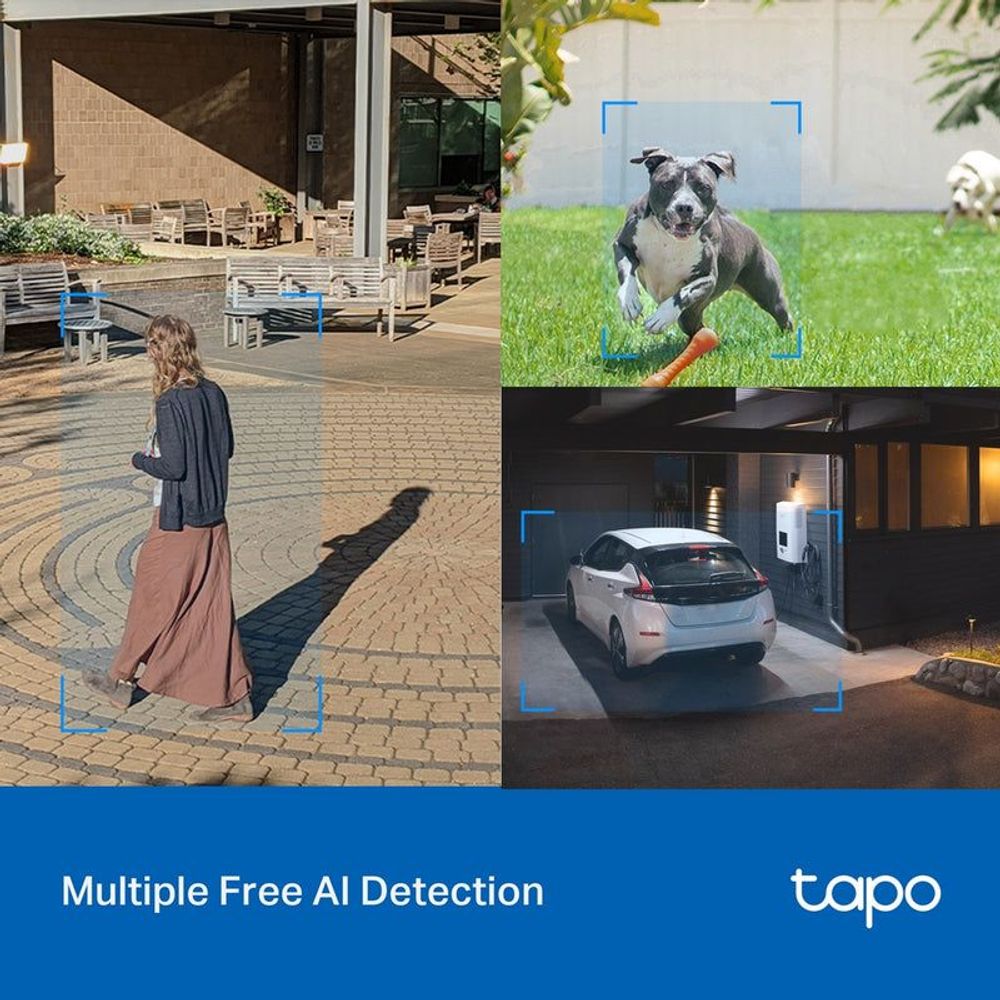 Security camera AI detection preview with person, dog, and car boxes