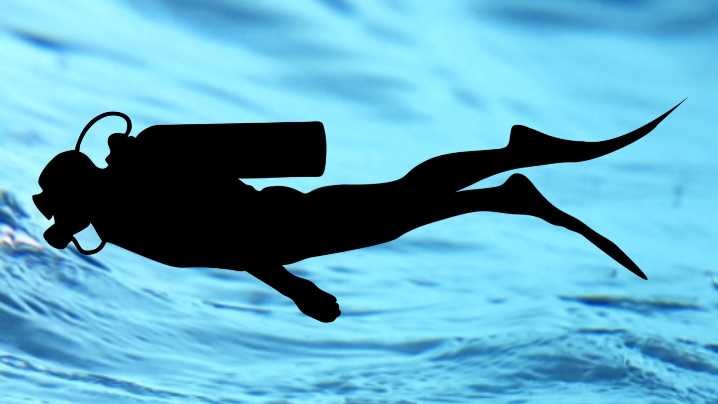 Dive Rite Wrist Computer and Docking Station