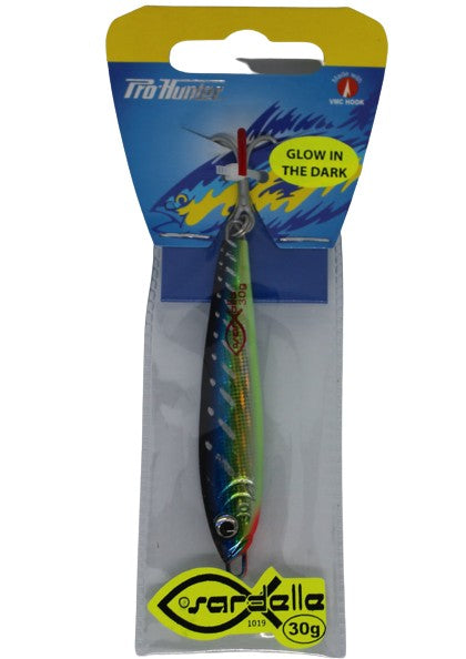 Pro Hunter - Sardelle Casting Jig 30 Gram
