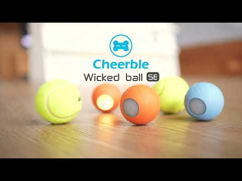Flipside Cheerble - Wicked Ball SE - Orange