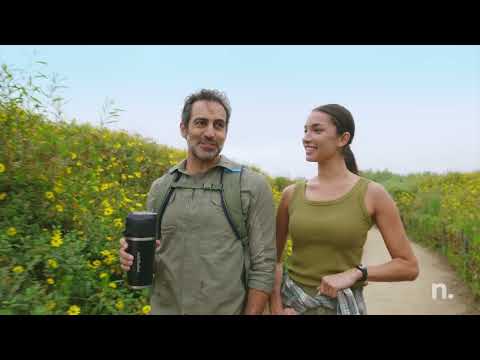 NutriBullet Flip Stainless Steel Portable Blender (Eucalyptus)