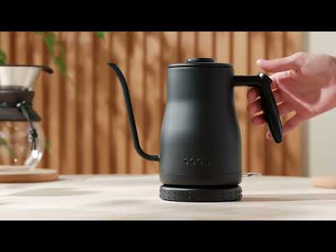 Bodum Bistro Gooseneck Kettle