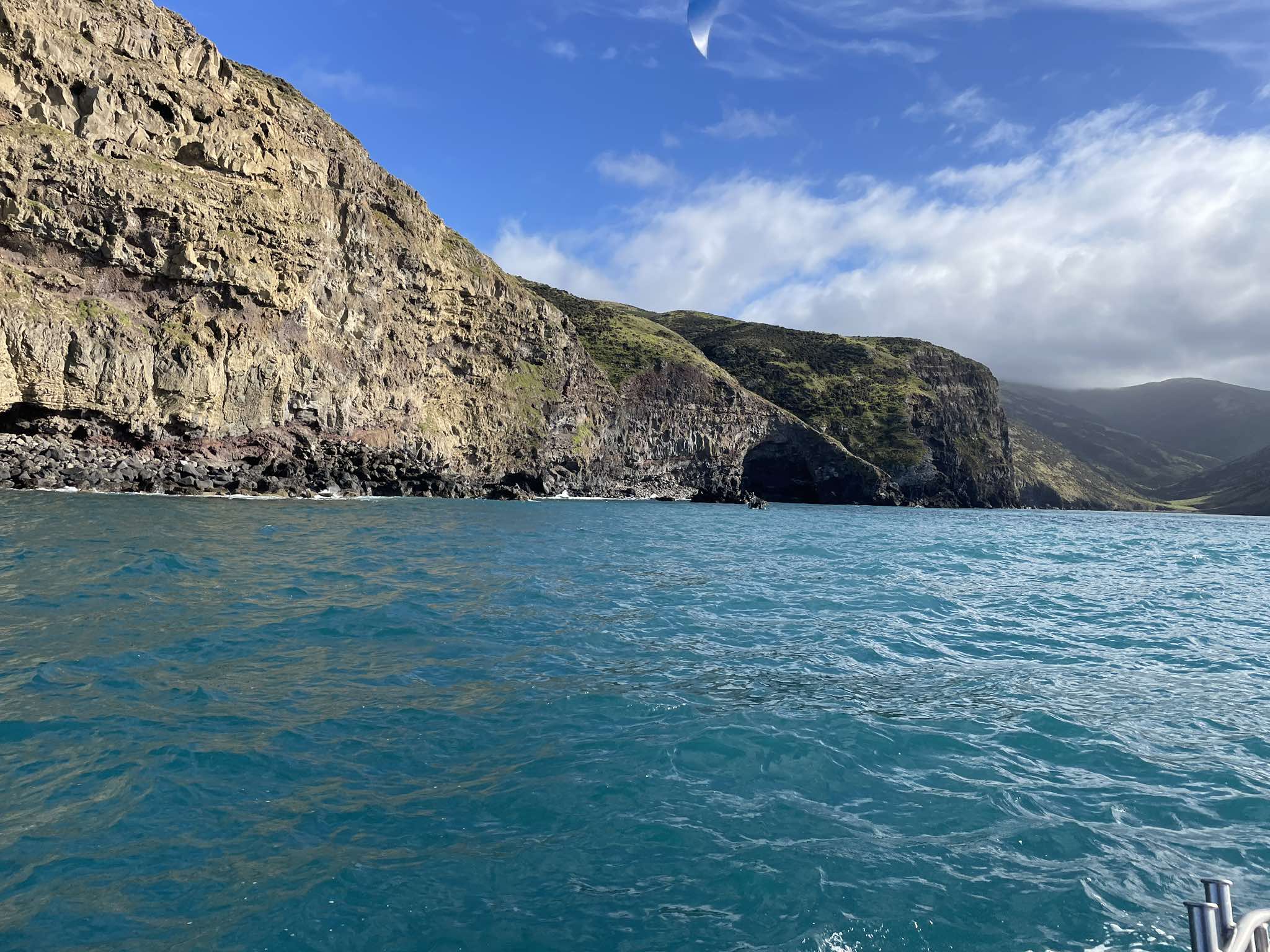 Bulk Pack of 12 Wolf Folding Pocket Knife - Blue