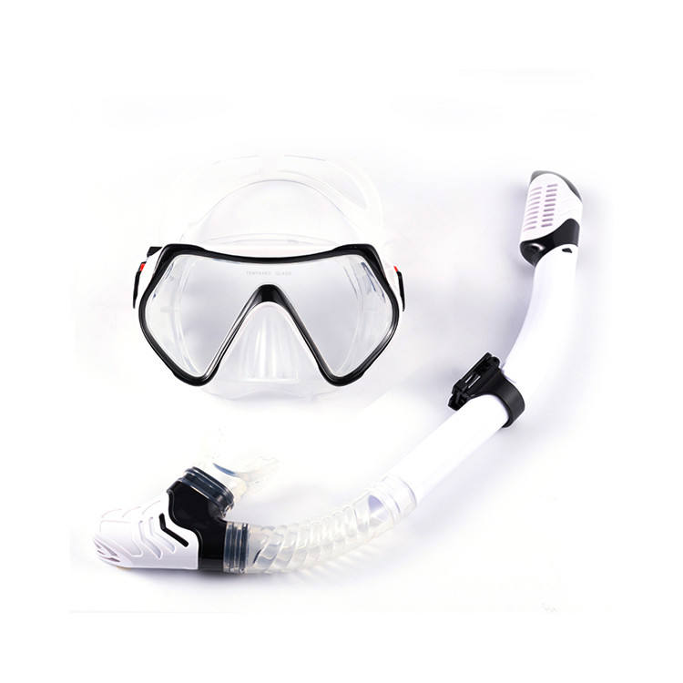 Adult Silicone Mask and Snorkel Set White