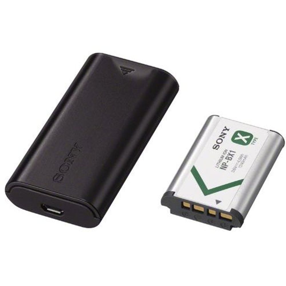 Sony ACC-TRDCX X Type Battery and Charger