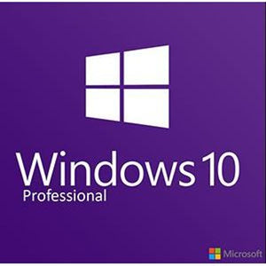 microsoft windows 10 professional - oem tech supply shed